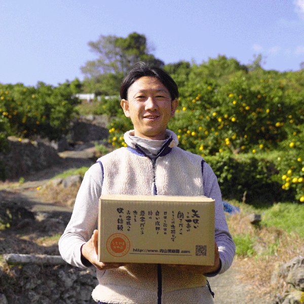 画像2: #1 うちやまさんちの『不知火』家庭用5キロ×1箱 【予約販売】３月中旬より順次発送 (2)