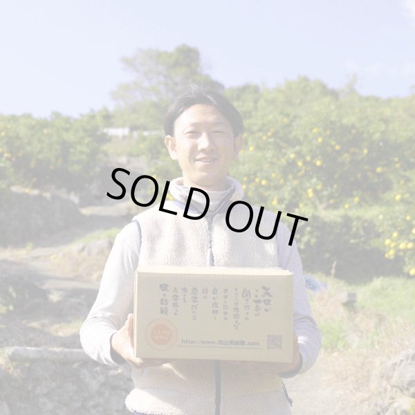 画像2: #1 うちやまさんちの『不知火』家庭用5キロ×1箱 【予約販売】3月中旬より順次発送 (2)