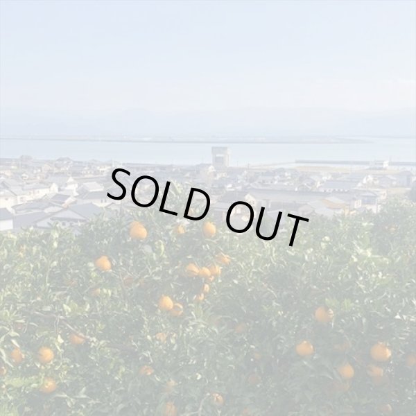 画像4: #4 うちやまさんちの厳選『不知火』3キロ×1箱【ご家庭・贈答用】 【予約販売】３月中旬より順次発送　 (4)